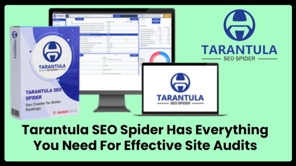 Tarantula SEO Spider