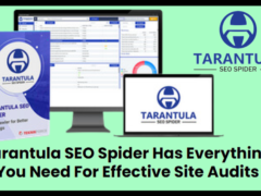 Tarantula SEO Spider