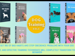 Dog Trainer Bible