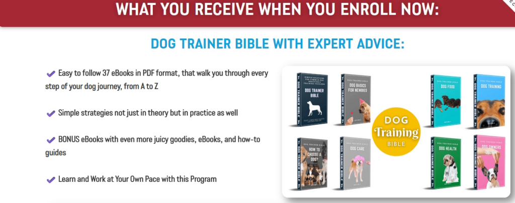 Dog Trainer Bible