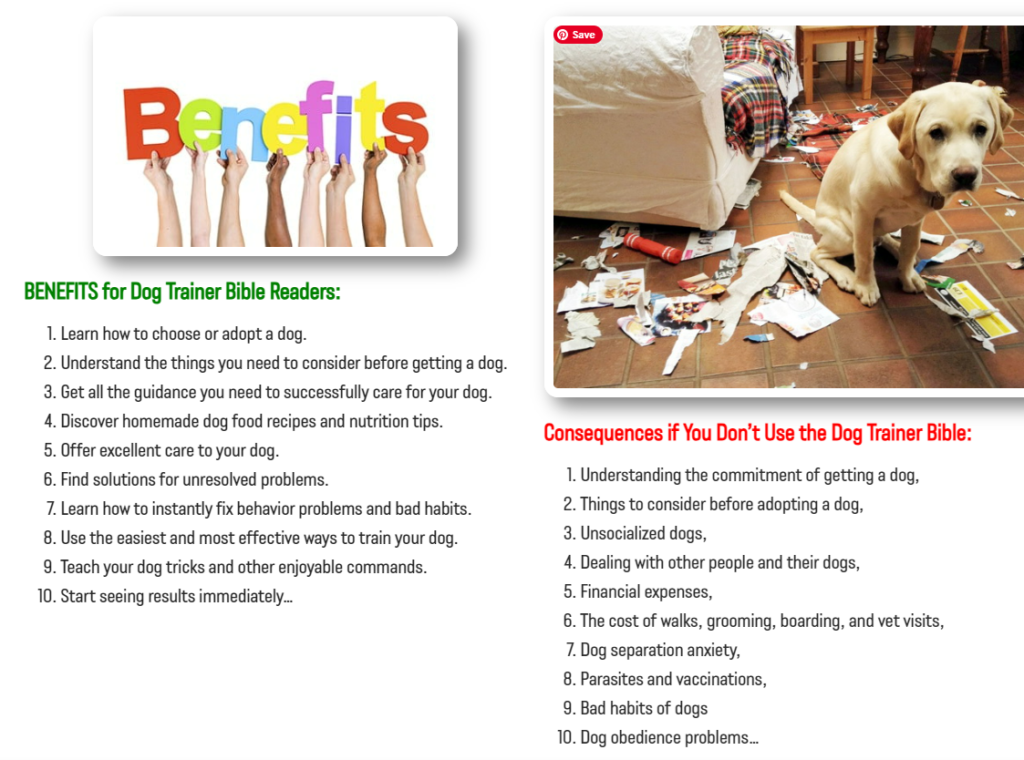 Dog Trainer Bible